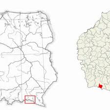 Attēlu rezultāti vaicājumam “Magdalis sp.”