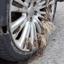 Image result for 4870315629