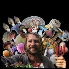 Attēlu rezultāti vaicājumam “Lycogala conicum young”