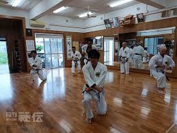 Image result for Zen Shin Seicho Do Adult Karate
