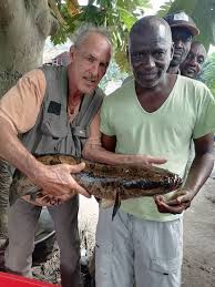 Image result for Goliath Tigerfish