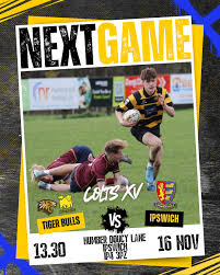 Image result for Ely Rugby Union Football Club