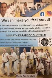 Image result for Reading Karate-Do Shotokai