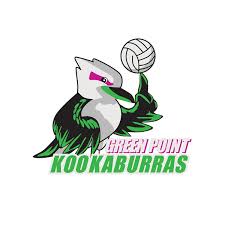 Image result for Palmers Green Netball Club