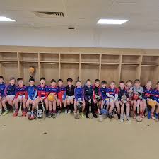Image result for Erin`s Own Gaelic Athletic & Social Club