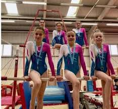 Image result for Forest Of Dean Gymnastics Club