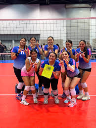 Image result for British Airways Volleyball Club