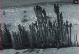 Image result for mars anomalies