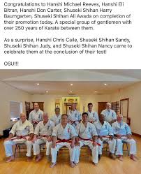 Image result for Aylesbury Vale Seido Karate