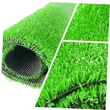 Image result for Astroturf