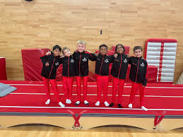 Image result for Sutton At Home Gymnastics Club
