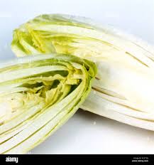 Image result for Chicorée