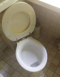 Image result for german toilet