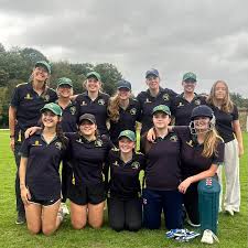 Image result for Lingfield Cricket Club