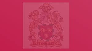 Image result for Horsley & Send Cricket Club