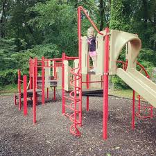 Image result for Bridge Of Don Amateur Swimming Club