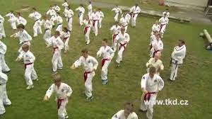 Image result for Bytomic Tae Kwon Do Bracknell