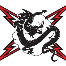 Image result for Bedford Tigers Tchoukball Club