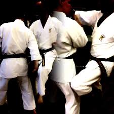 Image result for North Yorkshire Goju Ryu Karate Club