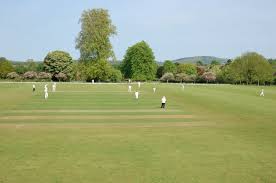 Image result for North Petherton Cricket Club
