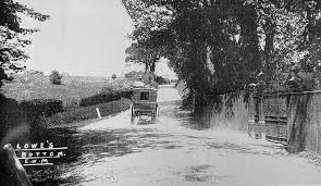 Image result for New Forest/Waterside