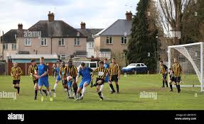 Image result for Old Wokingians Football Club
