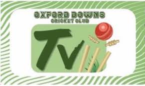 Image result for Challow and Childrey Cricket Club