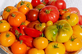 Afbeeldingsresultaat voor crnkovic yugoslavian tomato