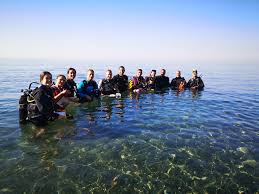 Image result for World Divers