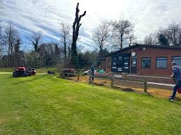 Image result for Welwyn Garden City Cricket Club