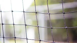 Image result for Merrow Cricket Club