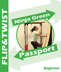 Image result for flip and twist