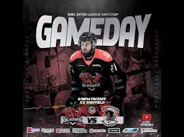 Image result for Sheffield Blazers