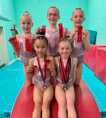 Image result for Pinewood Gymnastics Club