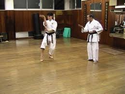 Image result for Goju.co.uk