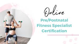 Image result for Postnatal Exercise Course