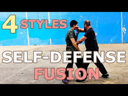 Image result for Combined self defence arts