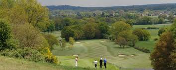 Image result for Betchworth Park Golf Club