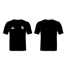 Image result for Penzance Netball Club