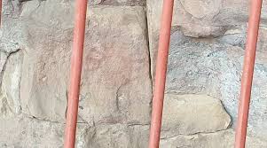 Image result for "Selva Pascuala"