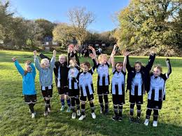 Image result for Molesey Juniors Football Club