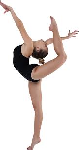 Image result for Exeter Gymnastics Club