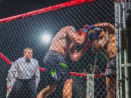 Image result for Professional  Martial Arts Academy