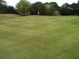 Image result for Chiddingfold Golf Club
