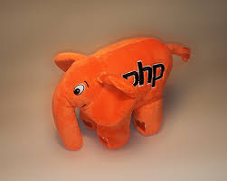 Image result for elephpant