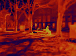 Image result for antoine d