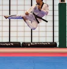 Image result for Haxby karate club