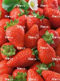 Attēlu rezultāti vaicājumam “Fragaria x ananassa fruit”