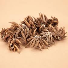 Attēlu rezultāti vaicājumam “Ranunculus brunnescens”