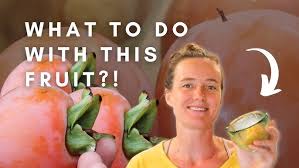 Image result for sharon fruit